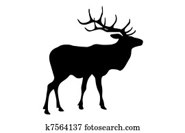 Deer Deer