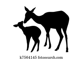 Deer Deer