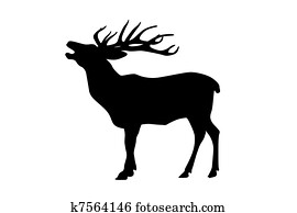 Deer Deer