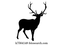 Deer Deer