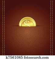 goldmünze, in, geldbörse