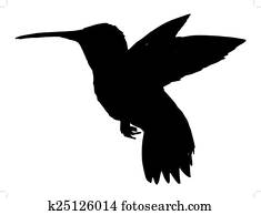 hummingbird hummingbird