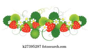 strawberry strawberry