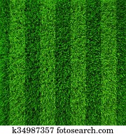 דשא ירוק, תחום של כדורגל, רקע