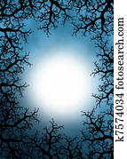 Halloween background Halloween background