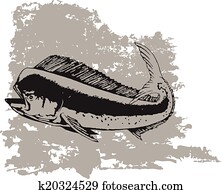 mahi, mahi-, דולפין