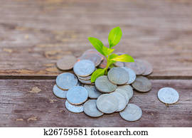 Money growth Deposit your budget for investment 