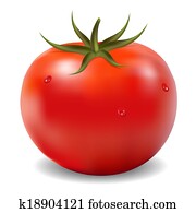Tomato Tomato
