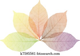 autumn leaves, vector autumn leaves, vector