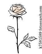 Beautiful single pink rose flower isolated on the white background, vector illustration Beautiful single pink rose flower isolated on the white background, vector illustration