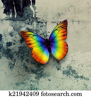 colorful butterfly colorful butterfly