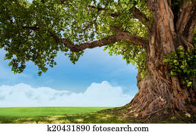 Spring meadow with big tree Spring meadow with big tree