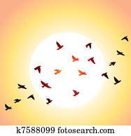 vuelo, aves, y, sol brillante