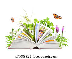 הזמן, של, טבע