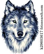 Blue wild wolf Blue wild wolf