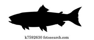 silhouette salmon on white backgrou silhouette salmon on white backgrou