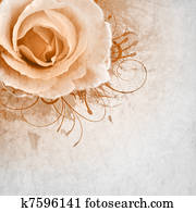 בז', חתונה, רקע, עם, ורדים