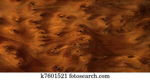brown burl wood detail