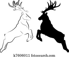 Deer Deer