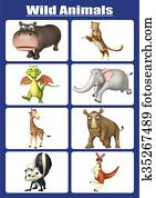 wild animal chart wild animal chart