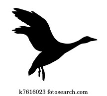 goose on white background goose on white background
