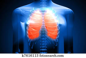 Human body and lungs Human body and lungs
