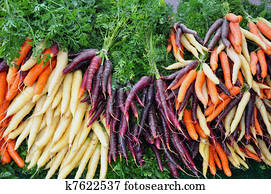 Colorful winter carrots Colorful winter carrots