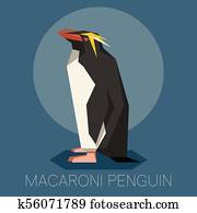 Flat Macaroni penguin