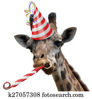 Funny giraffe party animal Funny giraffe party animal