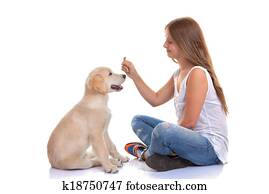 owner training puppy dog owner training puppy dog
