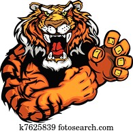 vetorial, imagem, de, um, Tiger, mascote