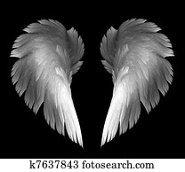 angel wings angel wings