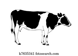 Cow Cow