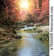 River in autumn forest River in autumn forest