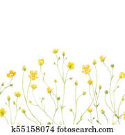 Watercolor floral composition Watercolor floral composition