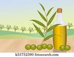 בקבוק, של, שמן זית