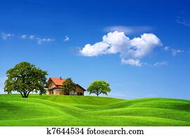 House and green landscape