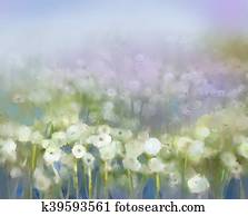 Oil paintings white dandelion flower in the meadows Oil paintings white dandelion flower in the meadows