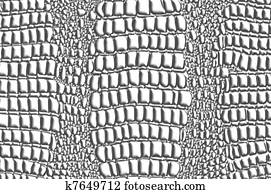 Skin crocodile Skin crocodile