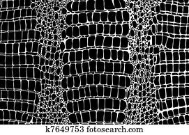 Skin crocodile Skin crocodile