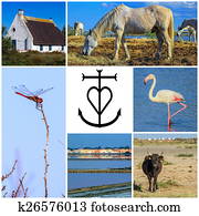 Collage of Camargue photos, France Collage of Camargue photos, France