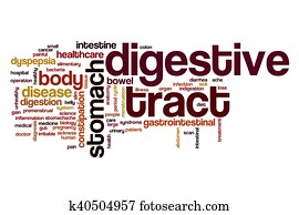 Digestive tract word cloud Digestive tract word cloud