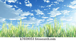 Wheat field Drawing | k8506193 | Fotosearch