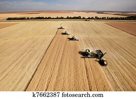 Aerial View of Harvest Aerial View of Harvest