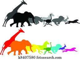 Animal racing Animal racing