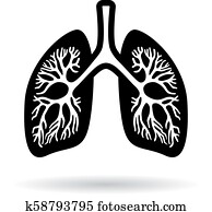 Human lungs icon Human lungs icon