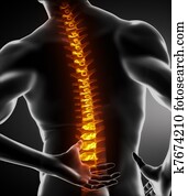 Male Body Backbone Scan Male Body Backbone Scan