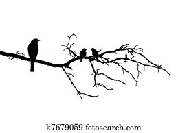 silhouette of the birds on branch silhouette of the birds on branch