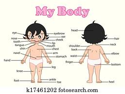 vocabulary part of body
