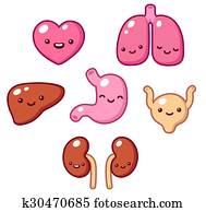Cute organs